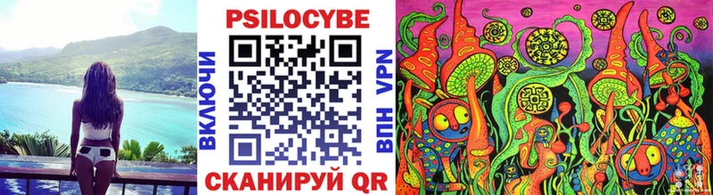 Псилоцибиновые грибы Psilocybe  как найти наркотики  Сухой Лог 